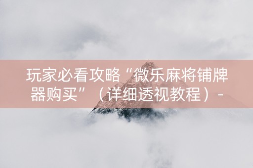 玩家必看攻略“微乐麻将铺牌器购买”（详细透视教程）-哔哩哔哩