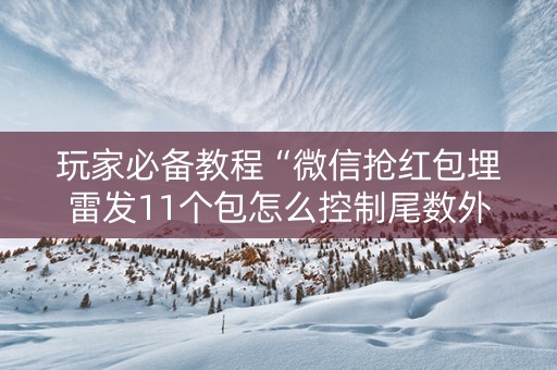 玩家必备教程“微信抢红包埋雷发11个包怎么控制尾数外挂”（详细透视教程）-哔哩哔哩