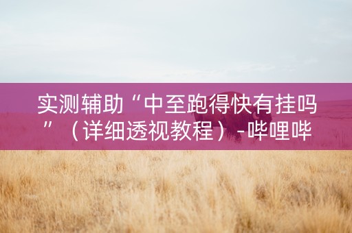 实测辅助“中至跑得快有挂吗”（详细透视教程）-哔哩哔哩