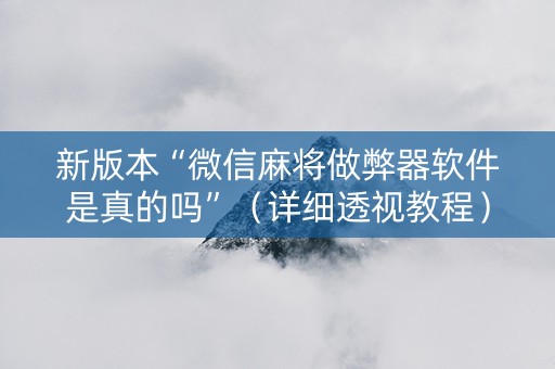 新版本“微信麻将做弊器软件是真的吗”（详细透视教程）-哔哩哔哩