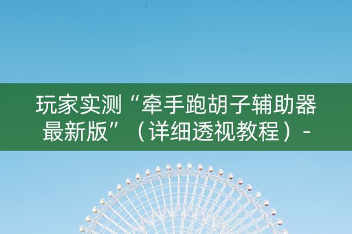 玩家实测“牵手跑胡子辅助器最新版”（详细透视教程）-哔哩哔哩