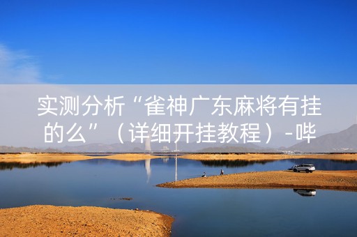实测分析“雀神广东麻将有挂的么”（详细开挂教程）-哔哩哔哩
