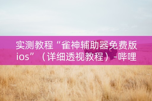 实测教程“雀神辅助器免费版ios”（详细透视教程）-哔哩哔哩