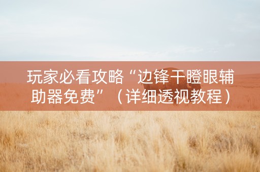 玩家必看攻略“边锋干瞪眼辅助器免费”（详细透视教程）-哔哩哔哩