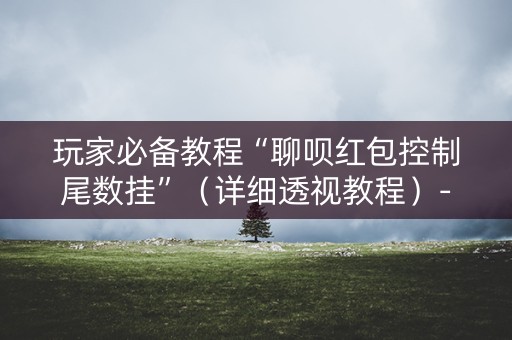 玩家必备教程“聊呗红包控制尾数挂”（详细透视教程）-哔哩哔哩