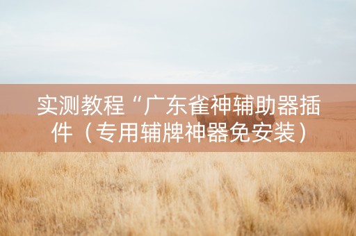 实测教程“广东雀神辅助器插件（专用辅牌神器免安装）