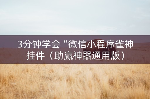 3分钟学会“微信小程序雀神挂件（助赢神器通用版）