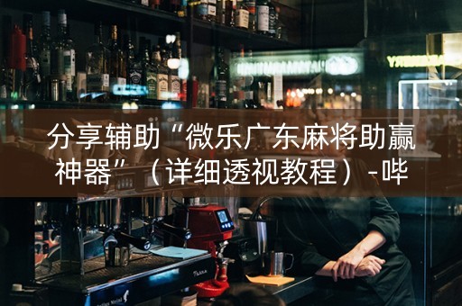 分享辅助“微乐广东麻将助赢神器”（详细透视教程）-哔哩哔哩