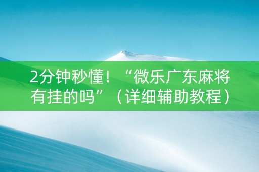 2分钟秒懂！“微乐广东麻将有挂的吗”（详细辅助教程）-哔哩哔哩