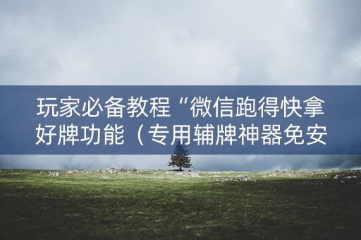 玩家必备教程“微信跑得快拿好牌功能（专用辅牌神器免安装）