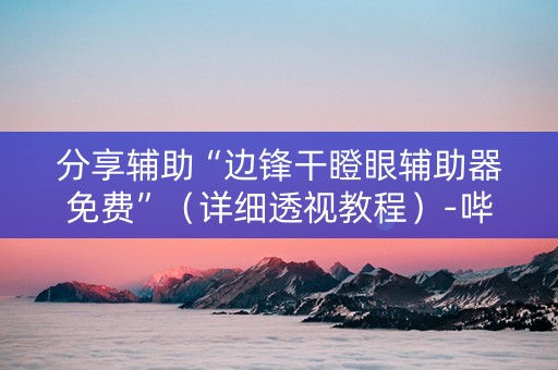 分享辅助“边锋干瞪眼辅助器免费”（详细透视教程）-哔哩哔哩