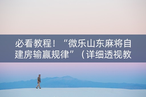 必看教程！“微乐山东麻将自建房输赢规律”（详细透视教程）-哔哩哔哩