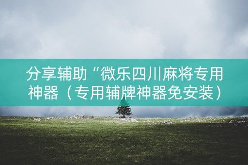 分享辅助“微乐四川麻将专用神器（专用辅牌神器免安装）