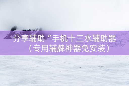 分享辅助“手机十三水辅助器（专用辅牌神器免安装）