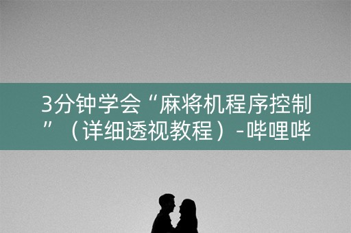 3分钟学会“麻将机程序控制”（详细透视教程）-哔哩哔哩