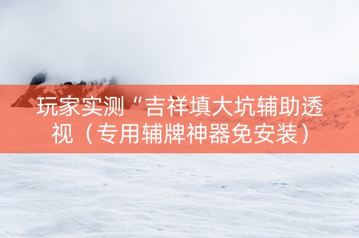 玩家实测“吉祥填大坑辅助透视（专用辅牌神器免安装）