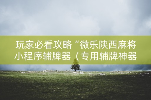 玩家必看攻略“微乐陕西麻将小程序辅牌器（专用辅牌神器免安装）