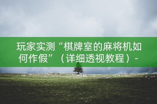 玩家实测“棋牌室的麻将机如何作假”（详细透视教程）-哔哩哔哩