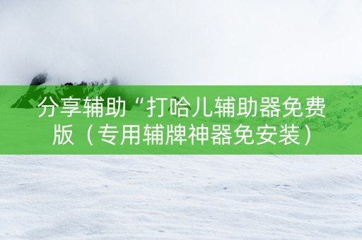 分享辅助“打哈儿辅助器免费版（专用辅牌神器免安装）