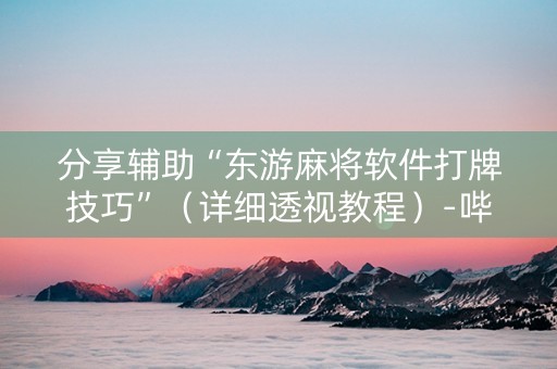 分享辅助“东游麻将软件打牌技巧”（详细透视教程）-哔哩哔哩