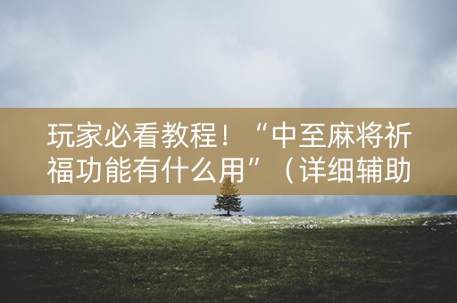 玩家必看教程！“中至麻将祈福功能有什么用”（详细辅助教程）-哔哩哔哩