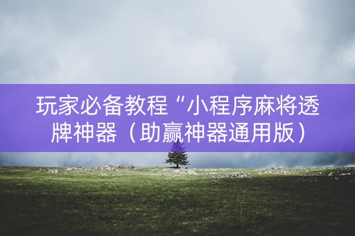 玩家必备教程“小程序麻将透牌神器（助赢神器通用版）