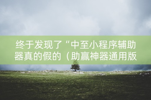 终于发现了“中至小程序辅助器真的假的（助赢神器通用版）