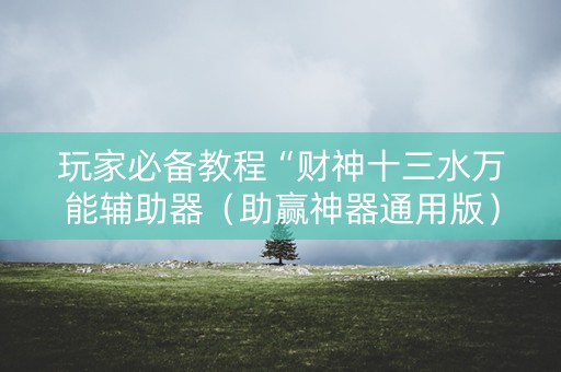 玩家必备教程“财神十三水万能辅助器（助赢神器通用版）