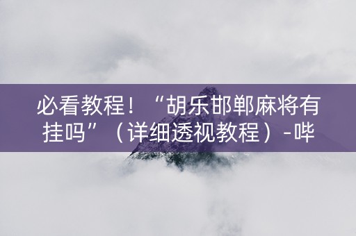 必看教程！“胡乐邯郸麻将有挂吗”（详细透视教程）-哔哩哔哩