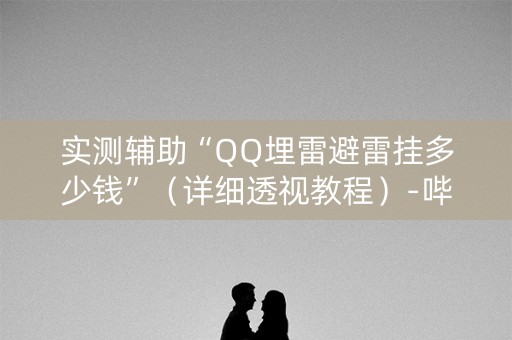 实测辅助“QQ埋雷避雷挂多少钱”（详细透视教程）-哔哩哔哩