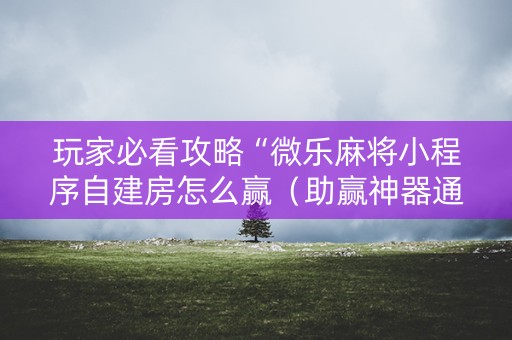 玩家必看攻略“微乐麻将小程序自建房怎么赢（助赢神器通用版）