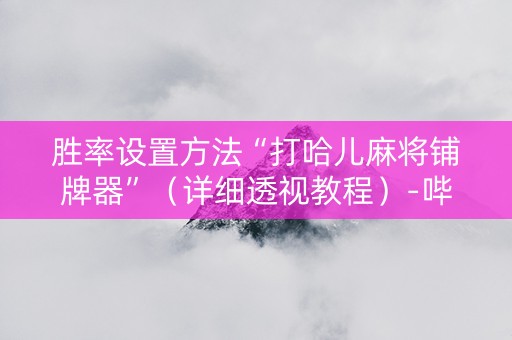 胜率设置方法“打哈儿麻将铺牌器”（详细透视教程）-哔哩哔哩
