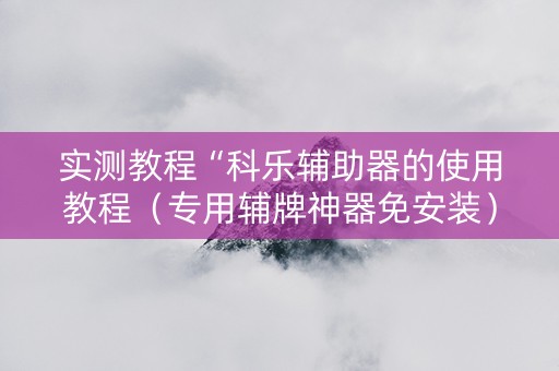 实测教程“科乐辅助器的使用教程（专用辅牌神器免安装）