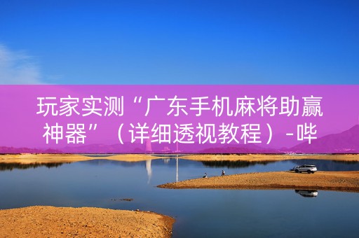 玩家实测“广东手机麻将助赢神器”（详细透视教程）-哔哩哔哩