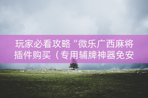玩家必看攻略“微乐广西麻将插件购买（专用辅牌神器免安装）