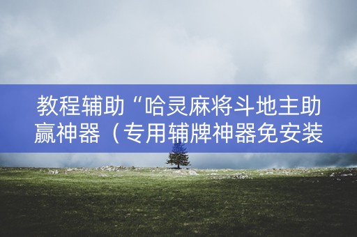 教程辅助“哈灵麻将斗地主助赢神器（专用辅牌神器免安装）