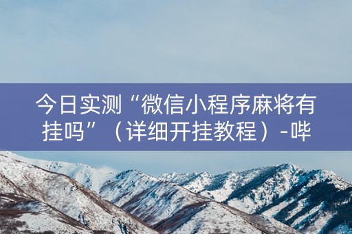 今日实测“微信小程序麻将有挂吗”（详细开挂教程）-哔哩哔哩