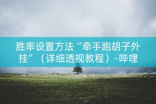 胜率设置方法“牵手跑胡子外挂”（详细透视教程）-哔哩哔哩
