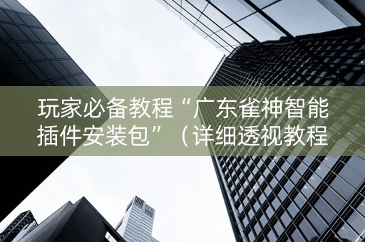 玩家必备教程“广东雀神智能插件安装包”（详细透视教程）-哔哩哔哩