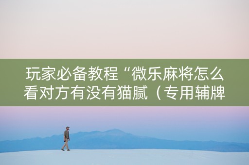 玩家必备教程“微乐麻将怎么看对方有没有猫腻（专用辅牌神器免安装）