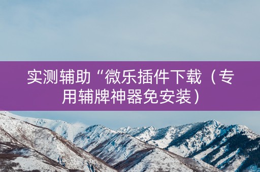 实测辅助“微乐插件下载（专用辅牌神器免安装）