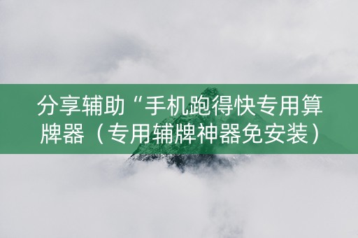 分享辅助“手机跑得快专用算牌器（专用辅牌神器免安装）