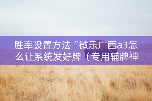 胜率设置方法“微乐广西a3怎么让系统发好牌（专用辅牌神器免安装）