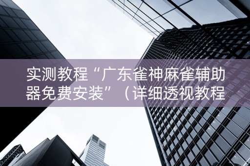 实测教程“广东雀神麻雀辅助器免费安装”（详细透视教程）-哔哩哔哩