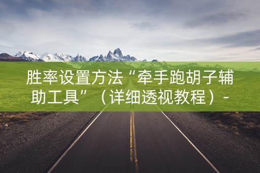 胜率设置方法“牵手跑胡子辅助工具”（详细透视教程）-哔哩哔哩