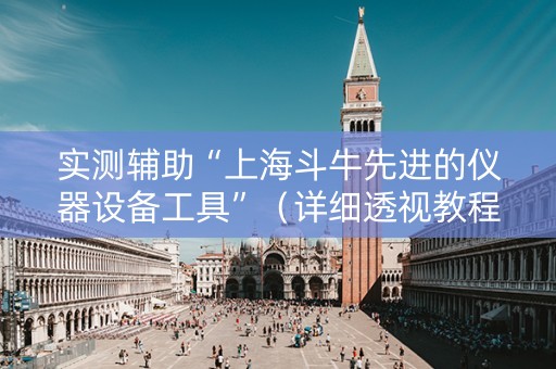 实测辅助“上海斗牛先进的仪器设备工具”（详细透视教程）-哔哩哔哩
