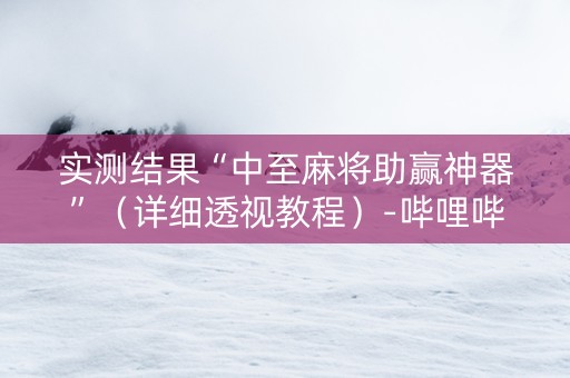 实测结果“中至麻将助赢神器”（详细透视教程）-哔哩哔哩
