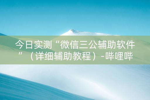 今日实测“微信三公辅助软件”（详细辅助教程）-哔哩哔哩