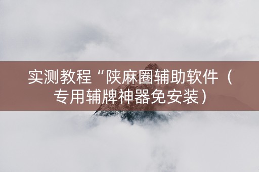 实测教程“陕麻圈辅助软件（专用辅牌神器免安装）