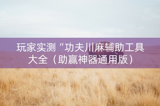 玩家实测“功夫川麻辅助工具大全（助赢神器通用版）